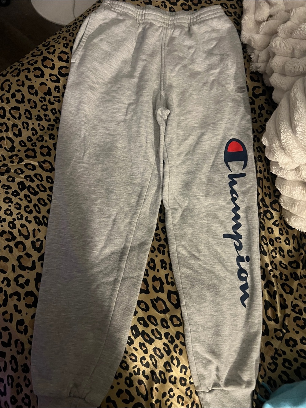 Champion Light Gray Sweatpants with Navy Script and Red Accent